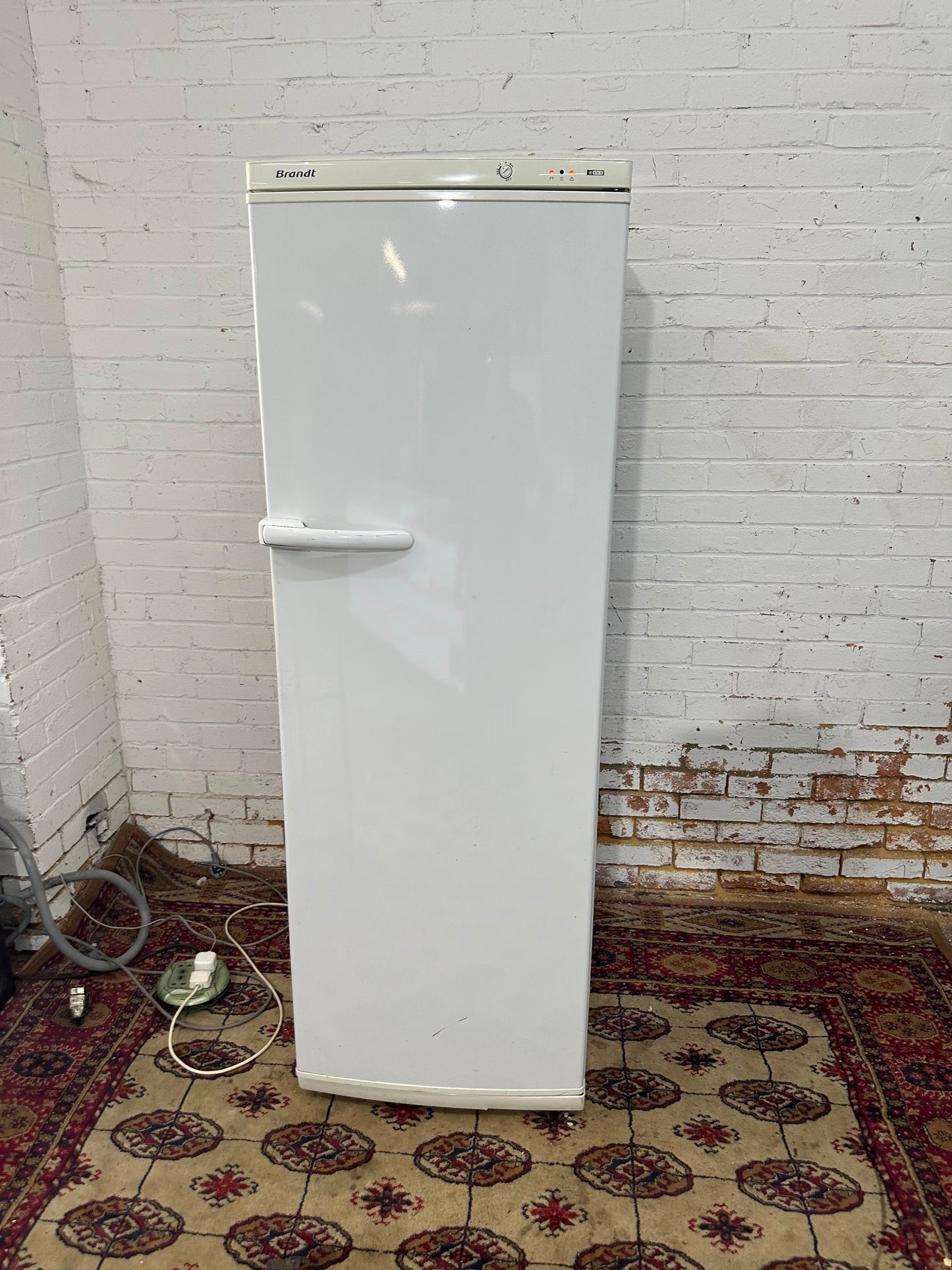 Tall Standing Freezer For Sale