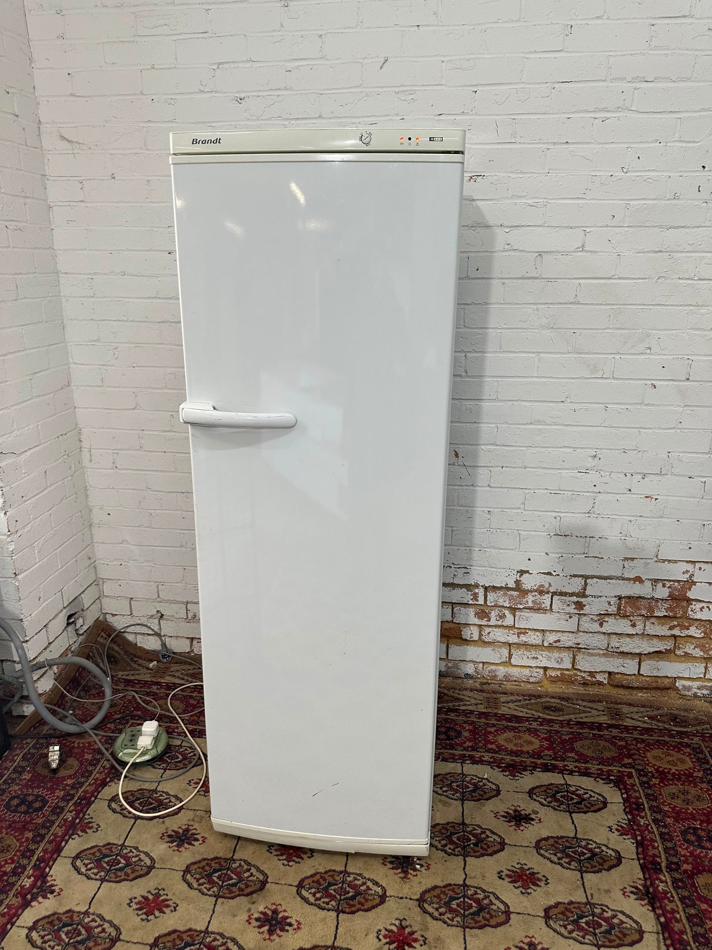 Tall Standing Freezer For Sale