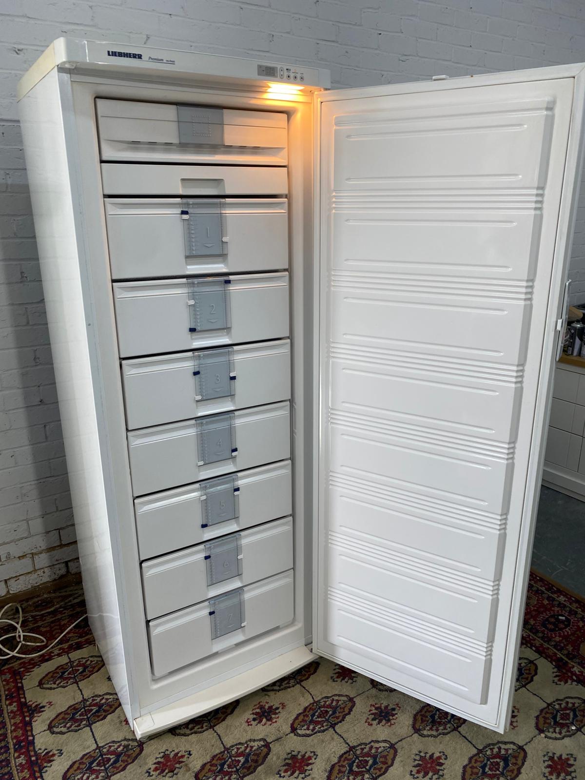 Beautiful TopBrand Full Size Liebherr Frost Free Standing Freezer Only For Sale