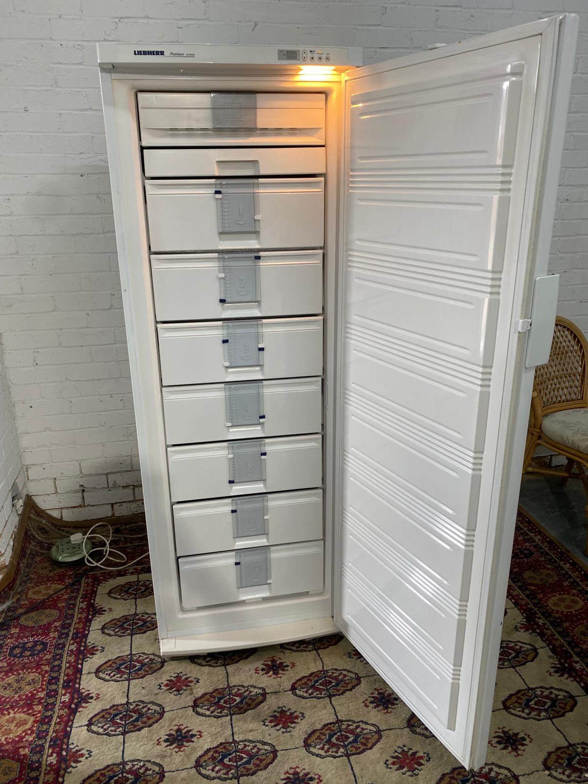 Beautiful TopBrand Full Size Liebherr Frost Free Standing Freezer Only For Sale