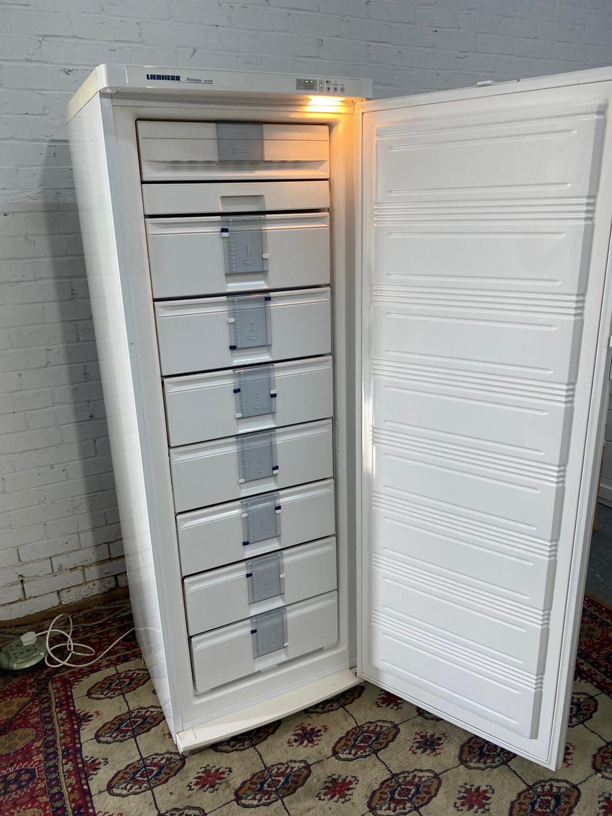 Beautiful TopBrand Full Size Liebherr Frost Free Standing Freezer Only For Sale