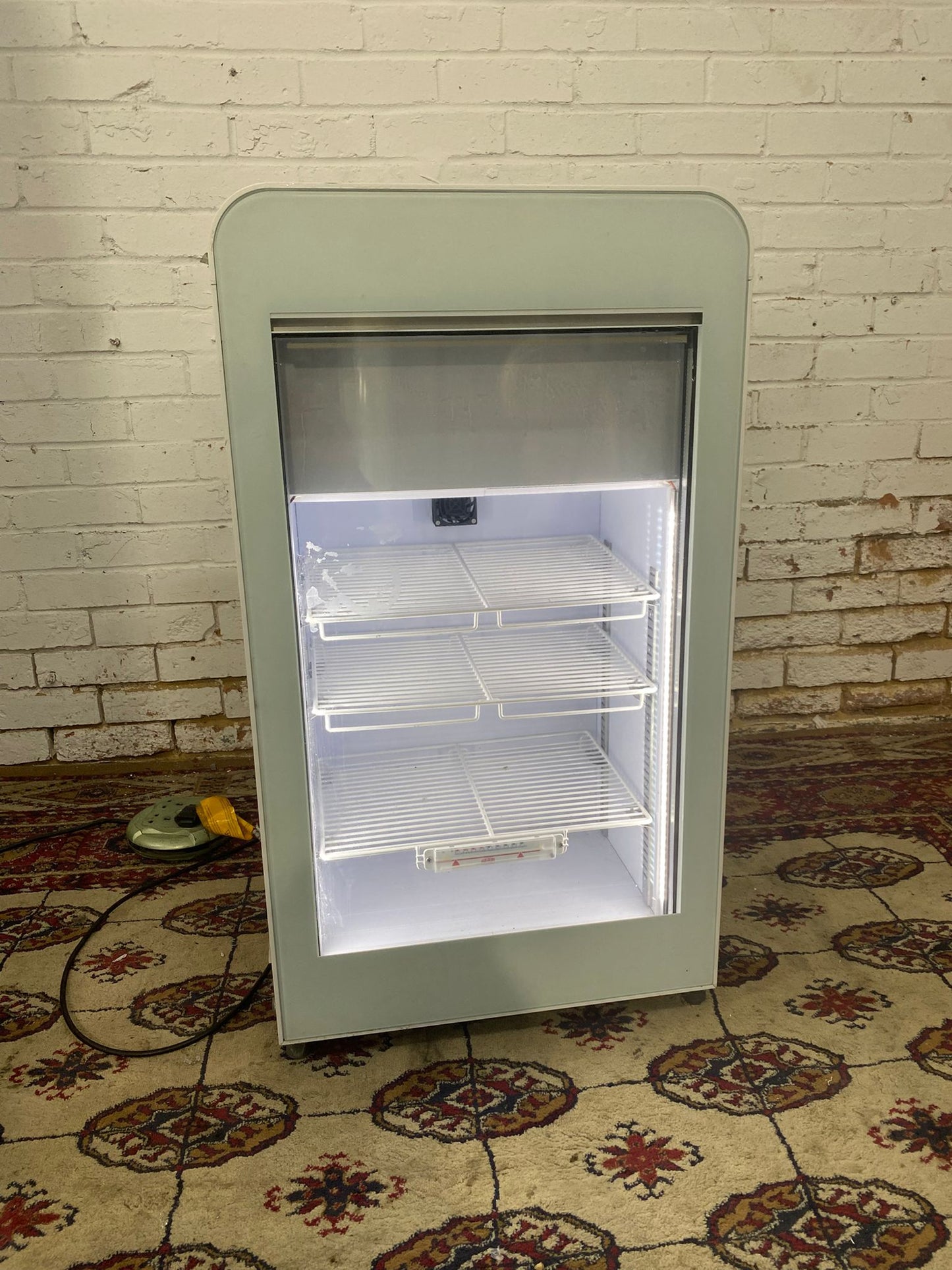 Walls Commercial IceCream Freezer Frost Free