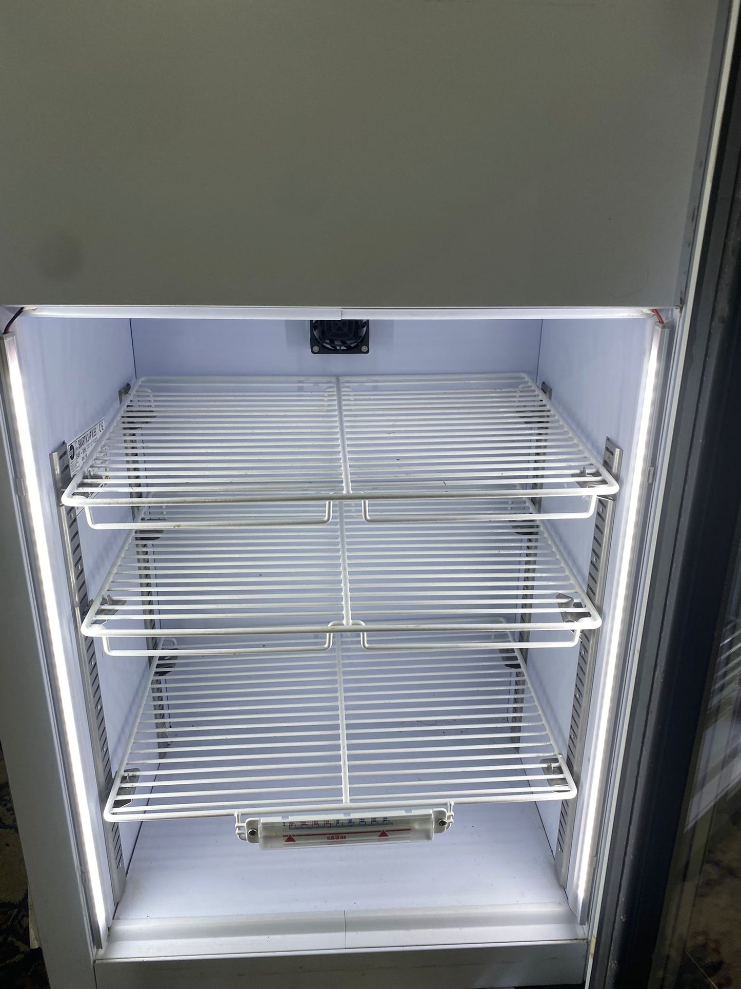 Walls Commercial IceCream Freezer Frost Free